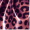 Leopard Violet (280)