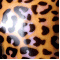 Leopard Luna (272) +500.00 руб.