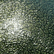 Reptile skin