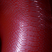Snake Silver on Red