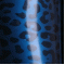 Leopard blue +850.00 руб.