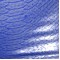 SN434 Snake Silver on Cosmos Blue Light