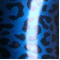 Leopard blue (274)