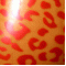 Leopard red on transparent (281)